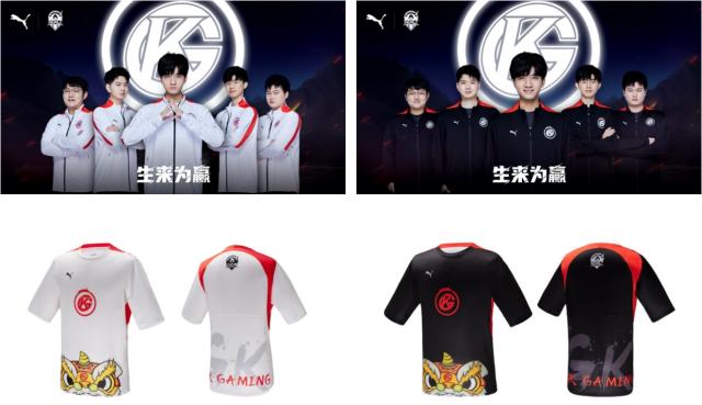 度分析与制 度分析与制